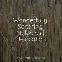 Wonderfully Soothing Melodies | Relaxation