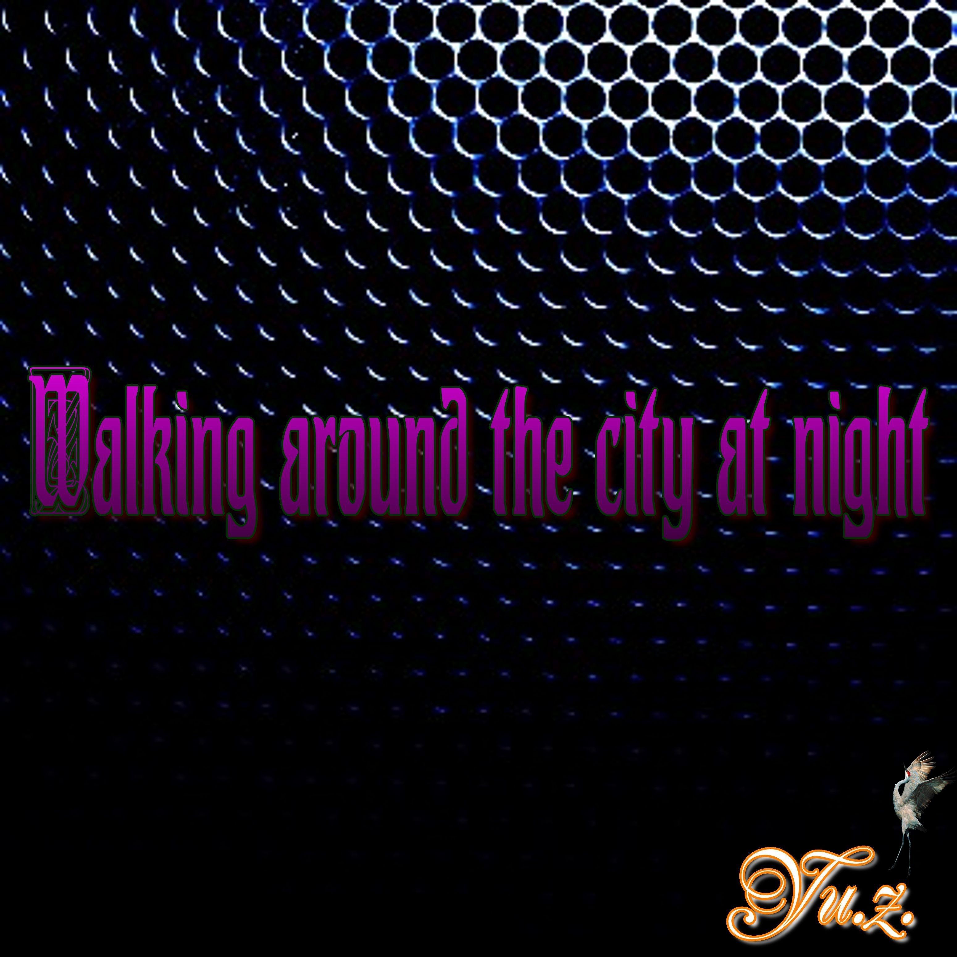 Walking Around the City at Night