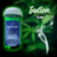 Indica