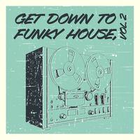 Get Down to Funky House, Vol. 2