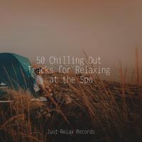 50 Chilling Out Tracks for Relaxing at the Spa