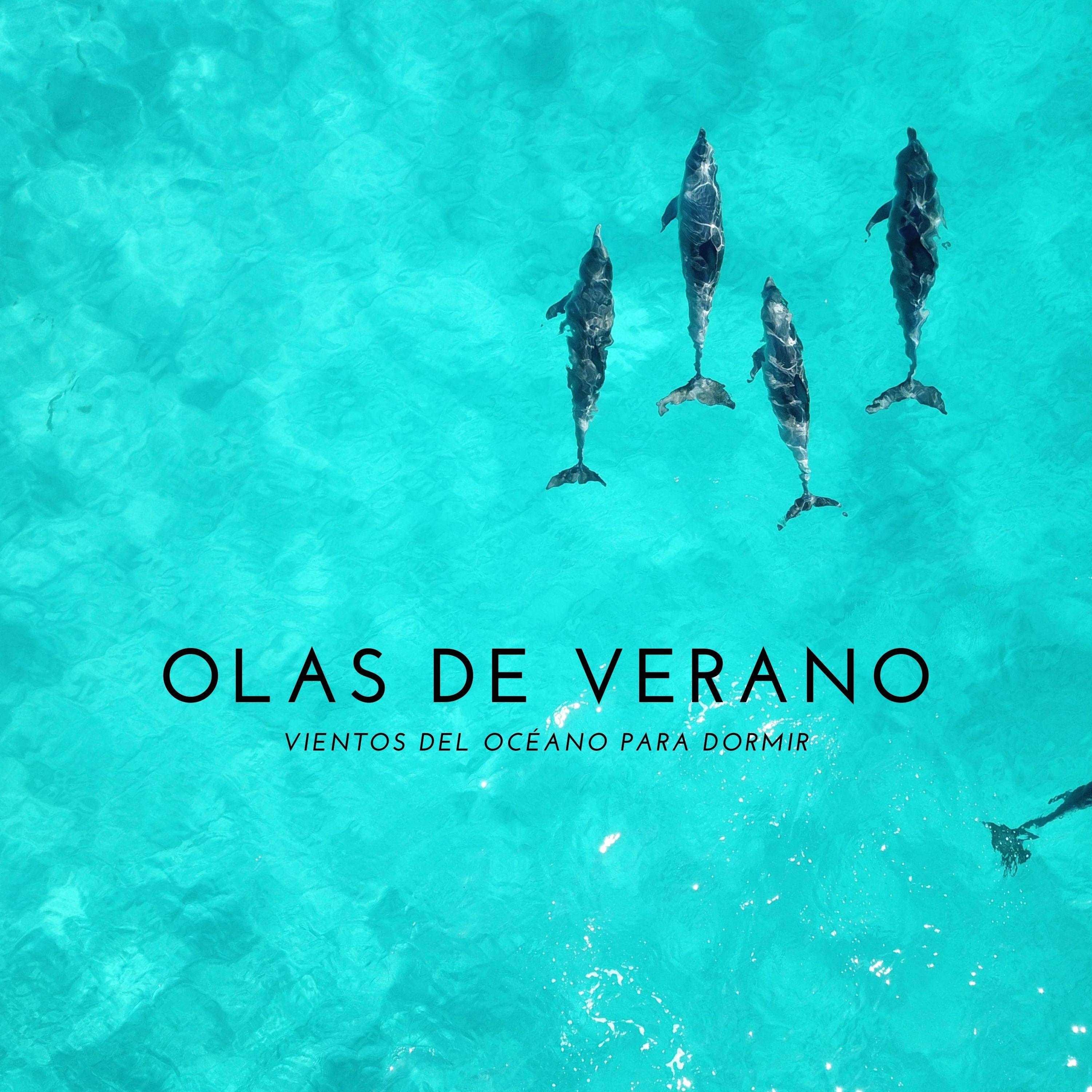 Olas De Naturaleza En Verano_Relajacion Del Mar_Olas De Verano: Vientos Del Océano Para Dormir | 在线播放_Olas De Naturaleza En Verano歌词_Olas De Naturaleza En Verano下载 | 网易云音乐