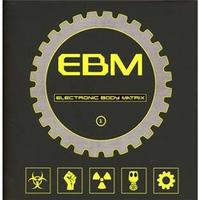 Electronic Body Matrix 1 (Limited_Edition)