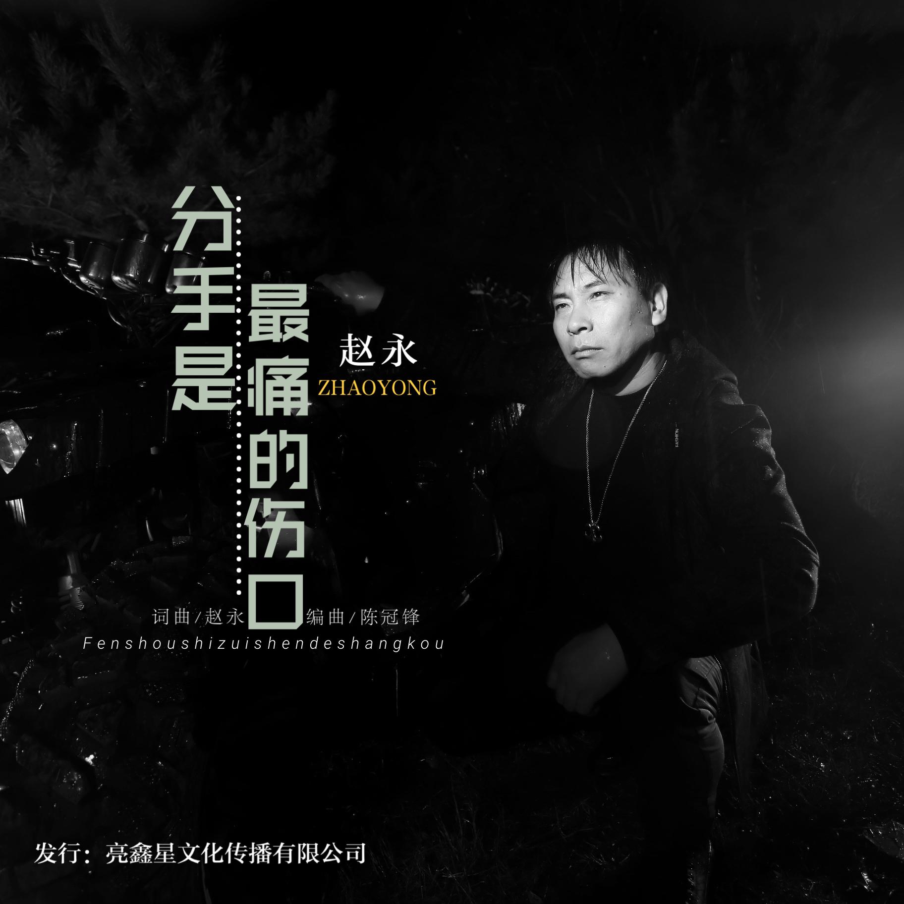 分手是最痛的伤口封面