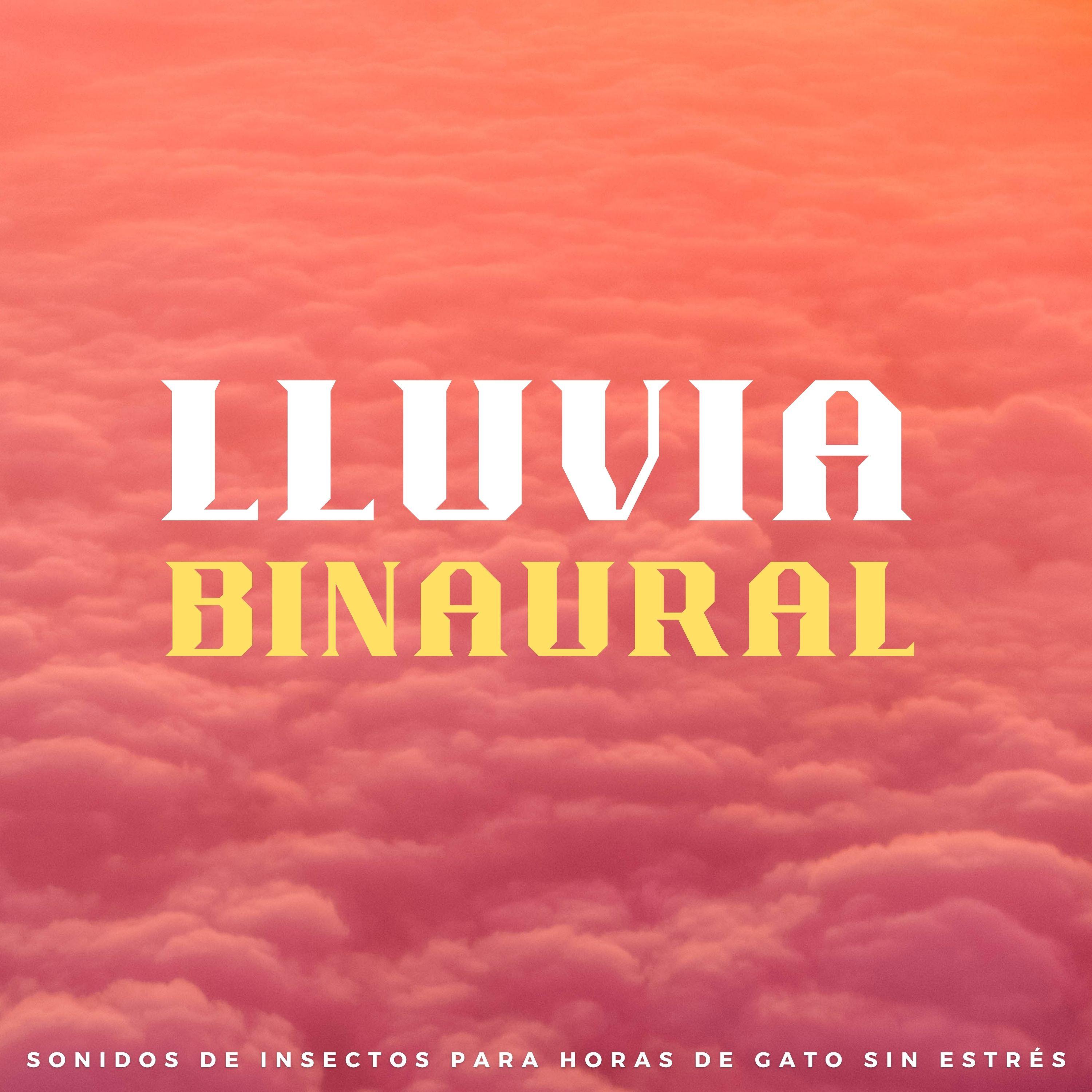 Noche Suave De Luciérnagas_Chico binaural_Lluvia Binaural: Sonidos De Insectos Para Horas De Gato Sin Estrés | 在线播放_Noche Suave De Luciérnagas歌词_Noche Suave De Luciérnagas下载 | 网易云音乐