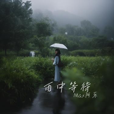 雨中等待封面