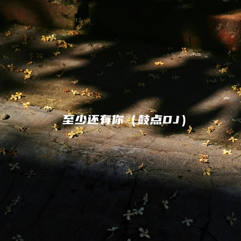 至少还有你 (DJ版)封面