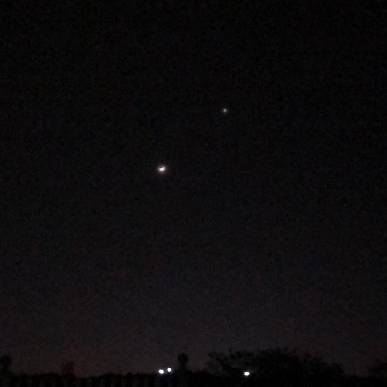 Hey Kong_Coming_Hey Kong | 在线播放_Hey Kong歌词_Hey Kong下载 | 网易云音乐