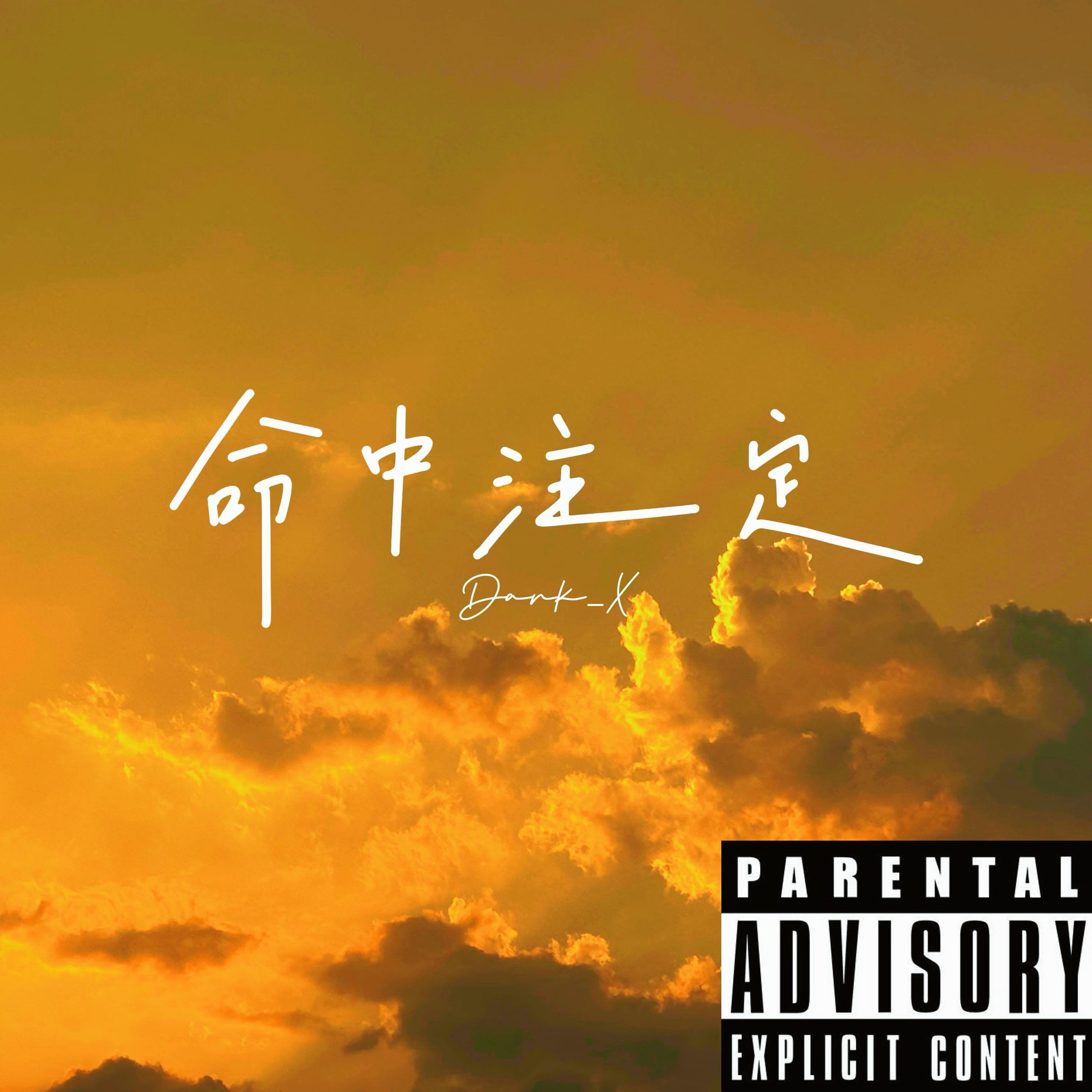 命中注定（DJ版）封面