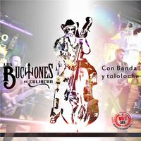 Los Buchones Con Banda y Tololoche