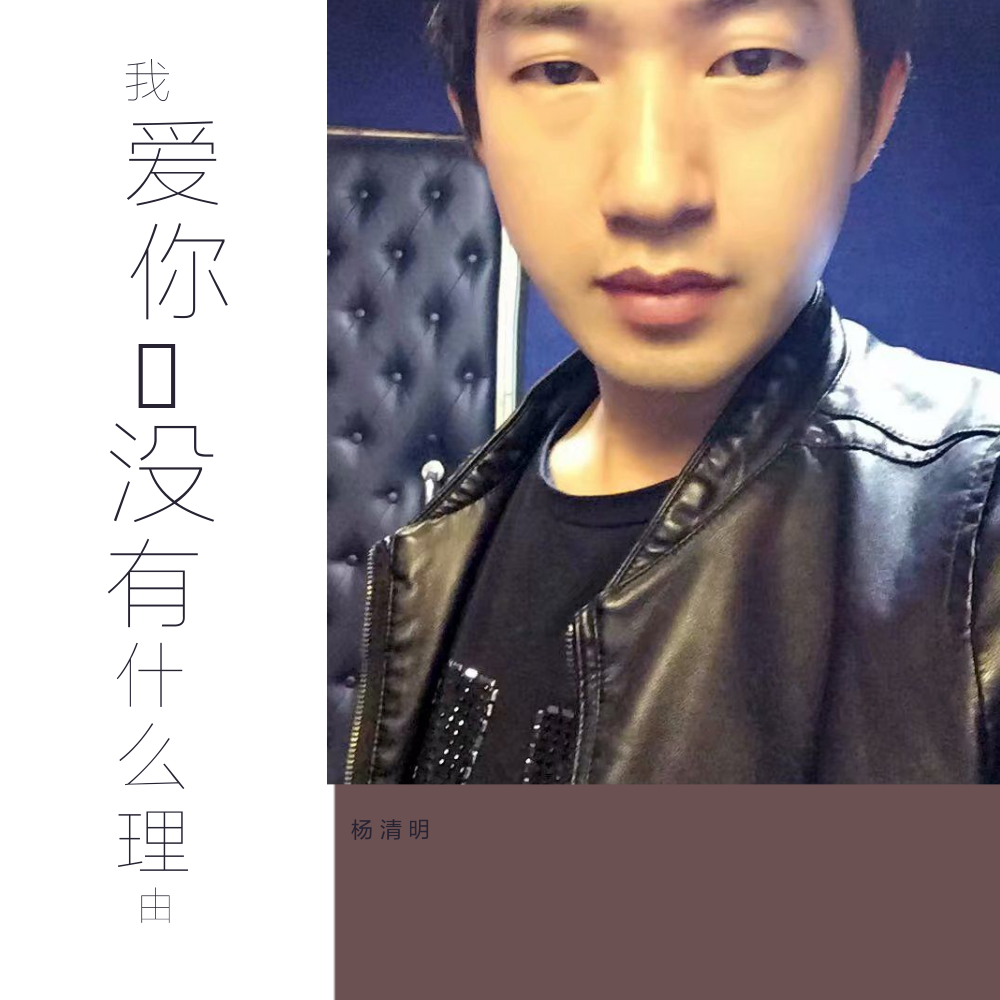 我爱你，没有什么理由封面