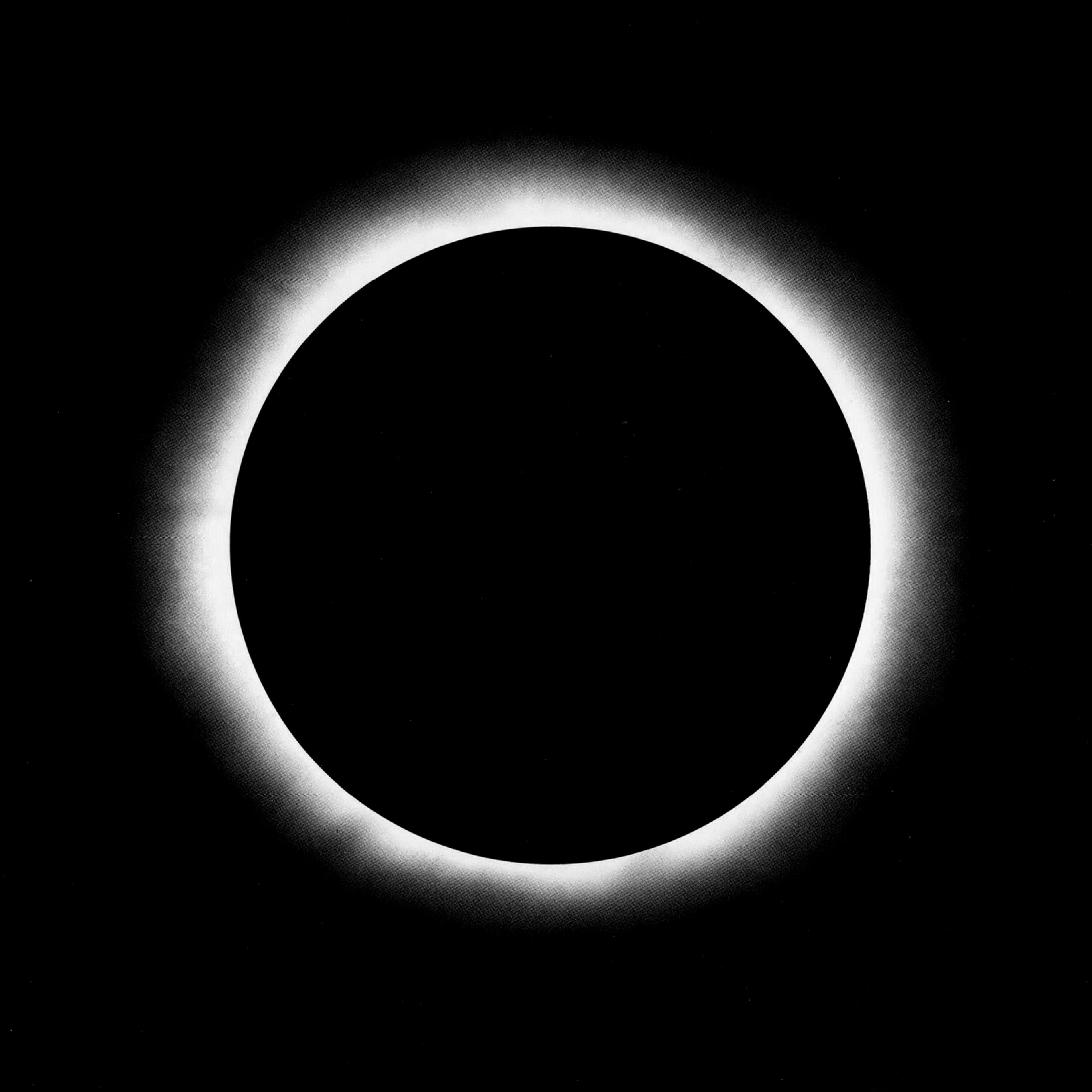 Hold-Buzhu - Passphrase Agentur 055 2016-01-31