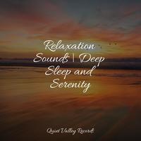 Relaxation Sounds | Deep Sleep and Serenity