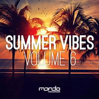 Summer Vibes, Vol. 6