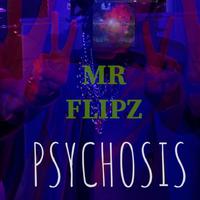 MR FLIPZ