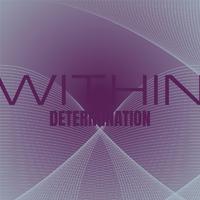 Within Determination