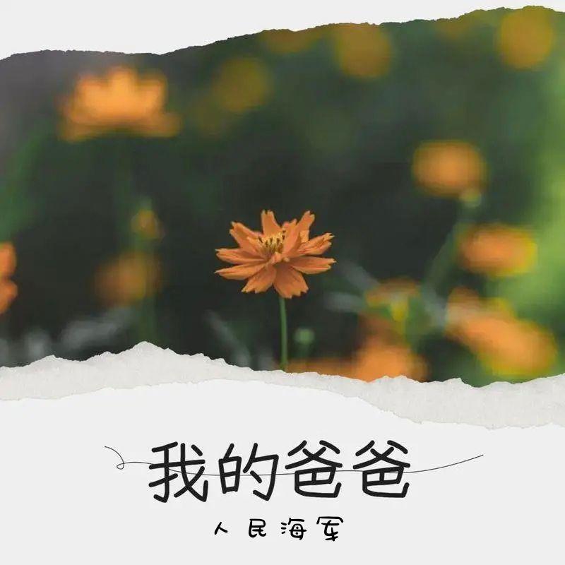 我的爸爸 - 青衫忆笙封面