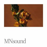 MNsound