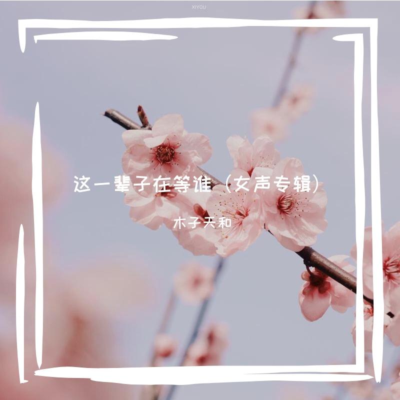 这一辈子在等谁（C调旋律）封面