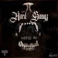 HARDGANGZ Série#01