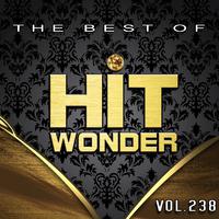 Hit Wonder: The Best of, Vol. 238