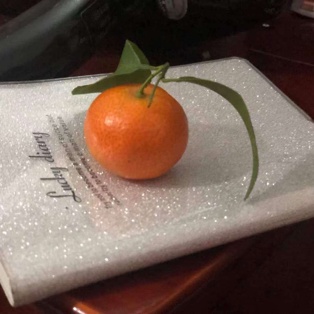 飞鸟与蝉封面
