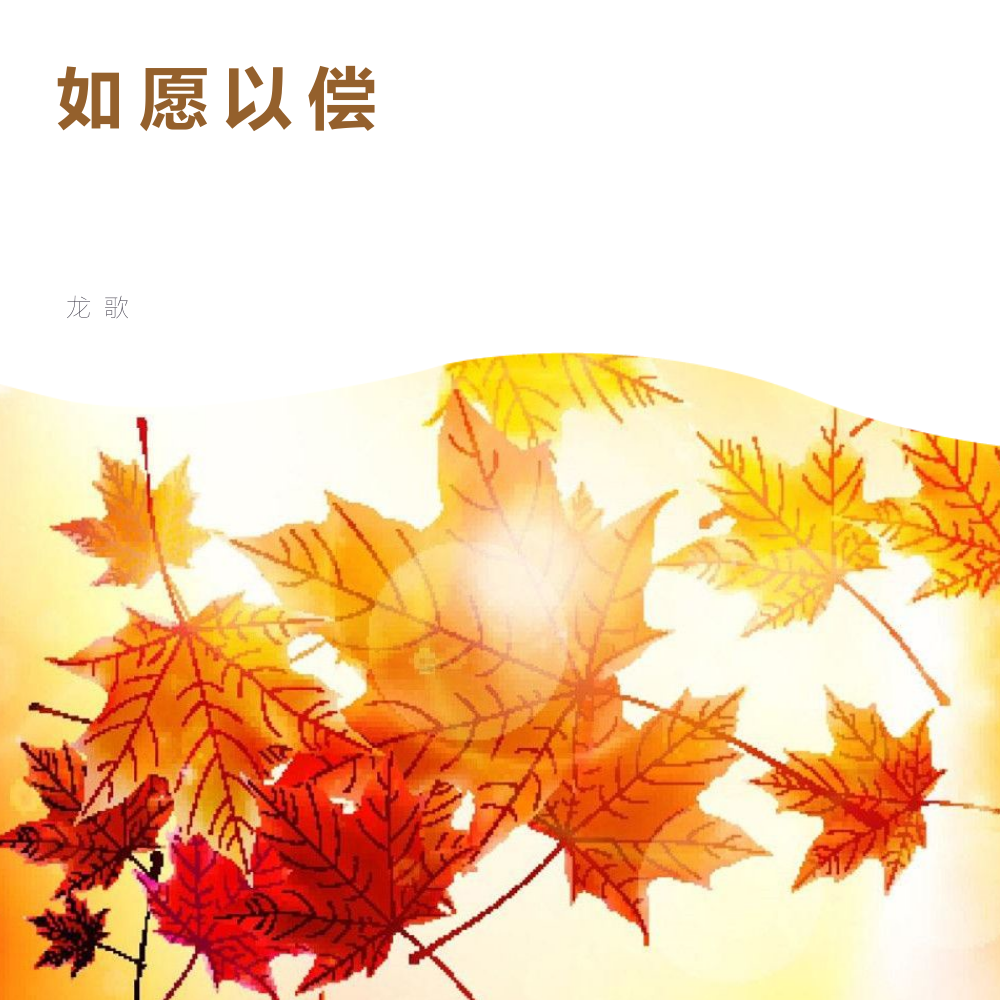 童年的故乡封面