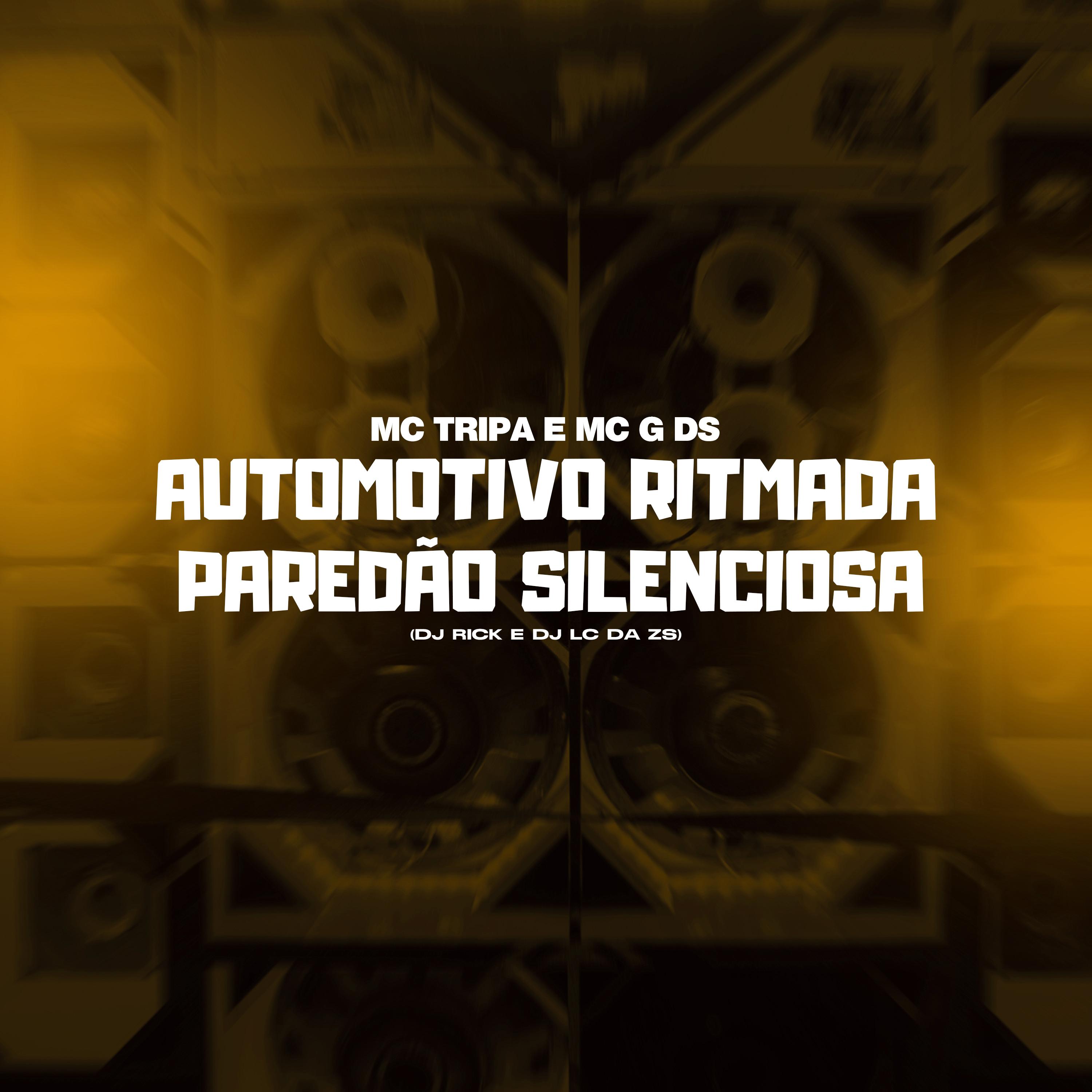 Automotivo Ritmada Paredão Silenciosa