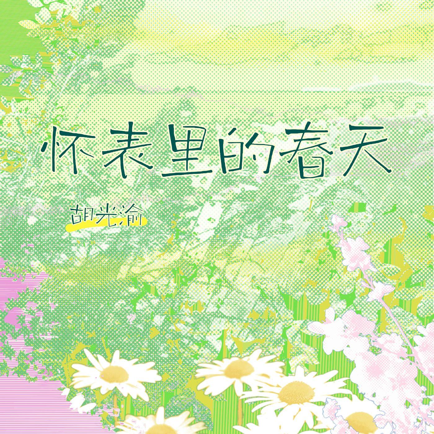 怀表里的春天 伴奏 - 胡光渝封面