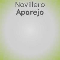 Novillero Aparejo