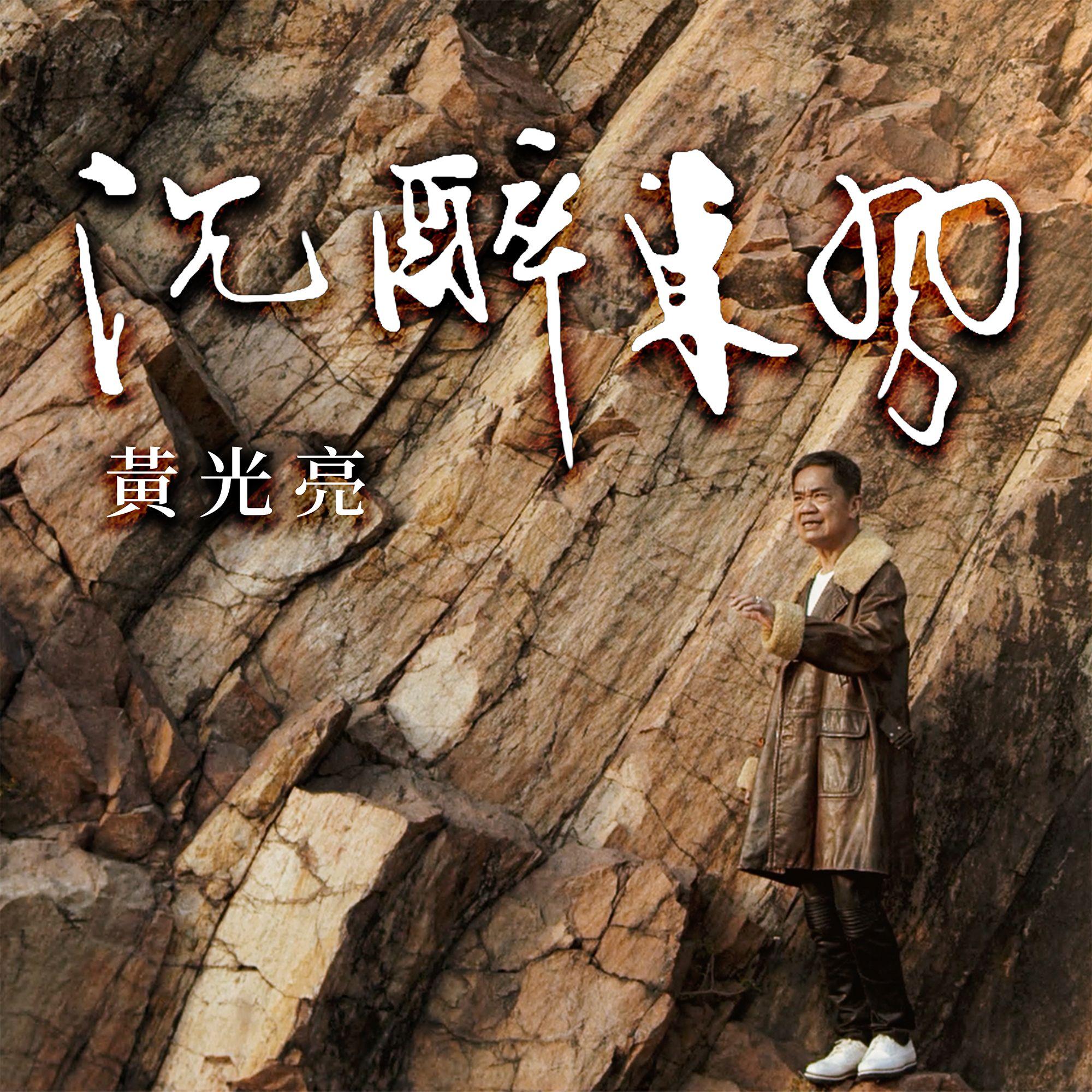 沉醉东风封面