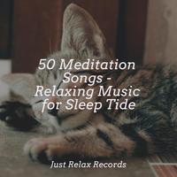 50 Meditation Songs - Relaxing Music for Sleep Tide