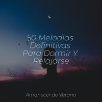 50 Melodías Definitivas Para Dormir Y Relajarse