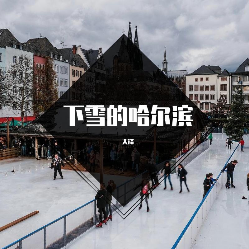 下雪的哈尔滨_天泽_下雪的哈尔滨 | 在线播放_下雪的哈尔滨歌词_下雪的哈尔滨下载 | 网易云音乐