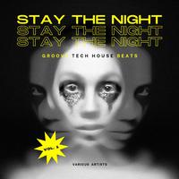 Stay The Night (Groovy Tech House Beats), Vol. 1