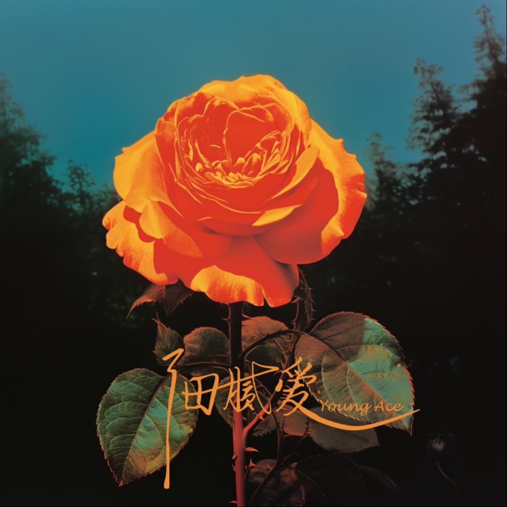 song-img