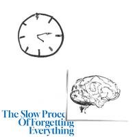 The Slow Process of Forgetting Everything