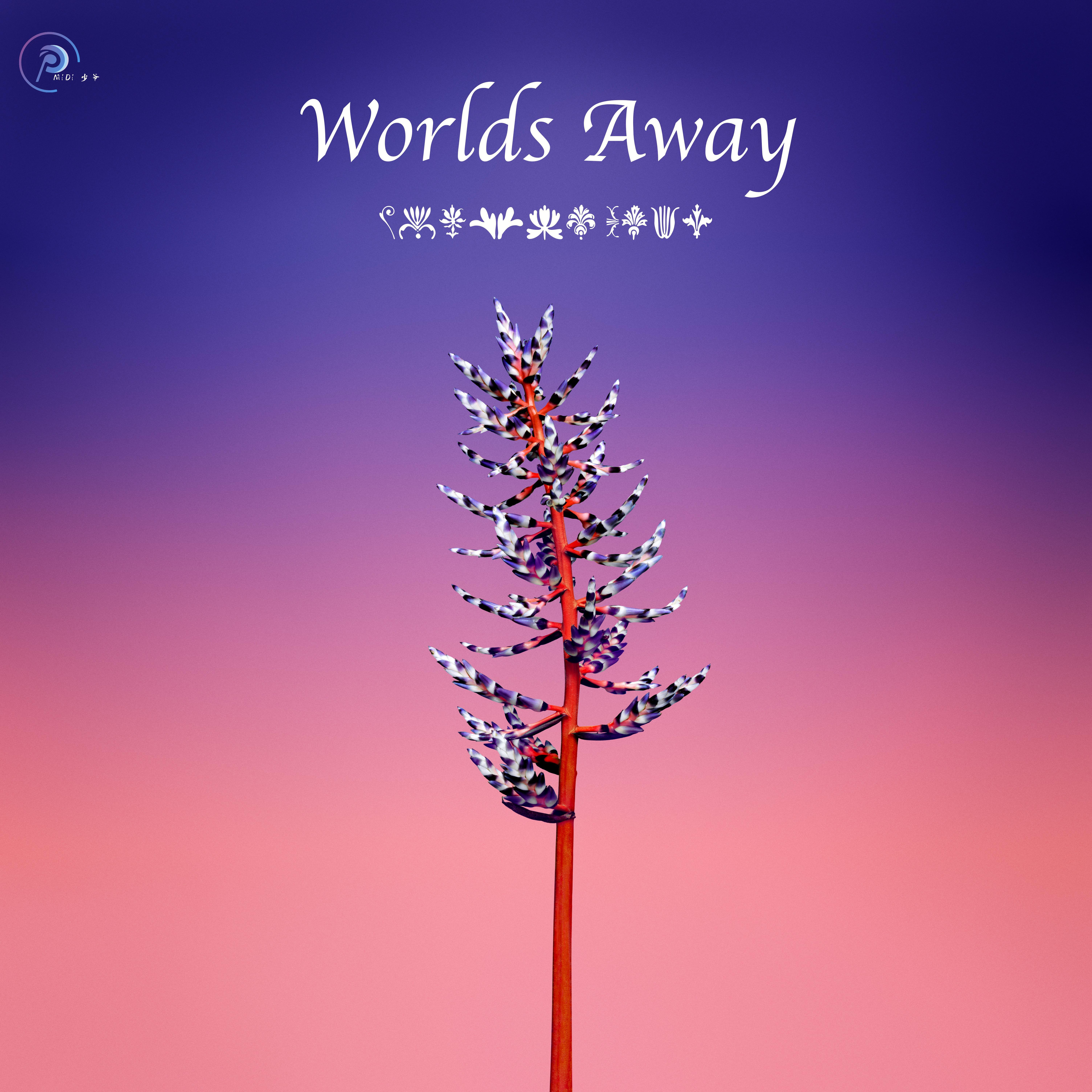 Ed SheeranSupermarket Flowers（MIDI少爷 remix） Emotion No.41 单曲 网易云音乐