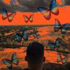 J-Boy - Butterflies (feat. Aaron Saefong)