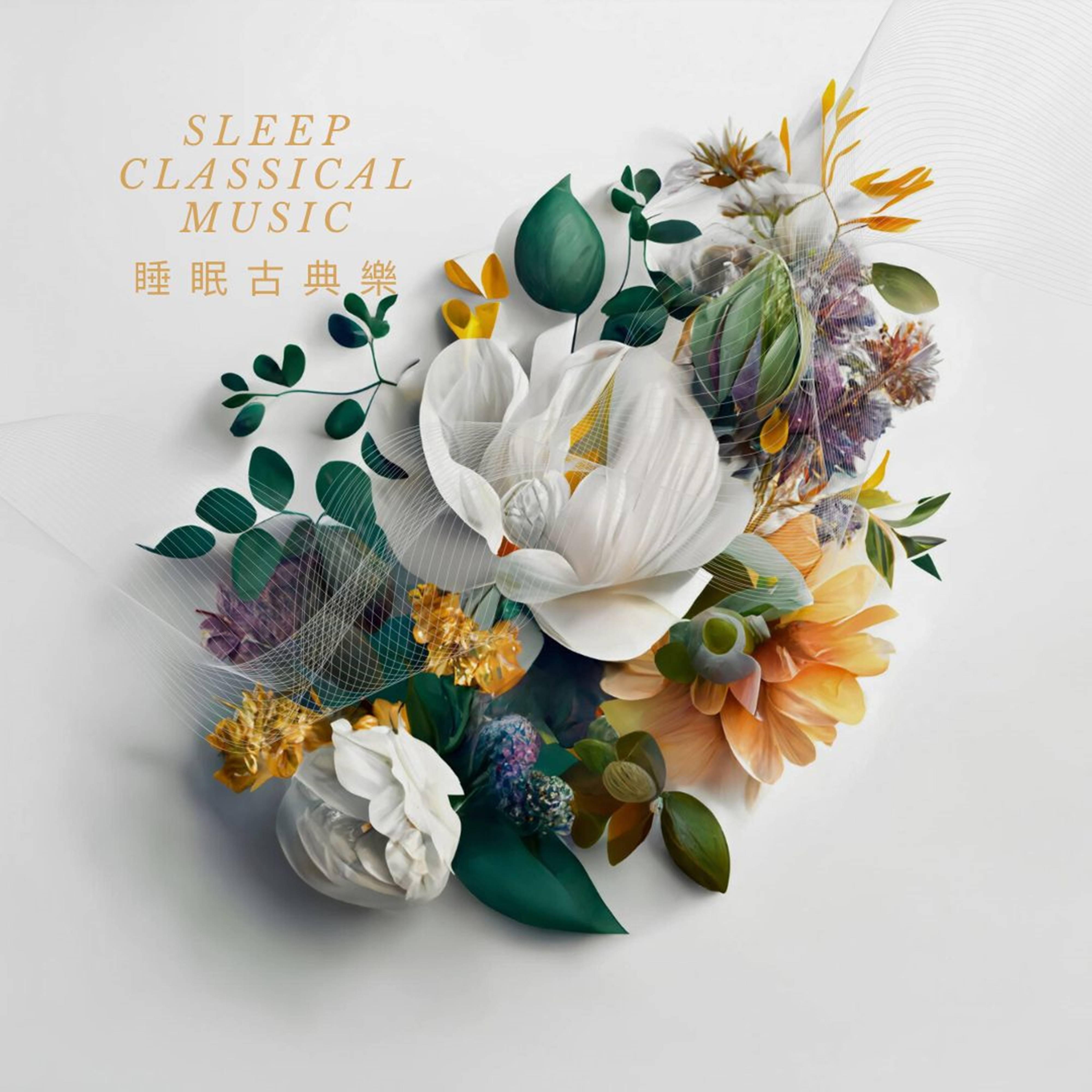 巴赫 G大調小步舞曲