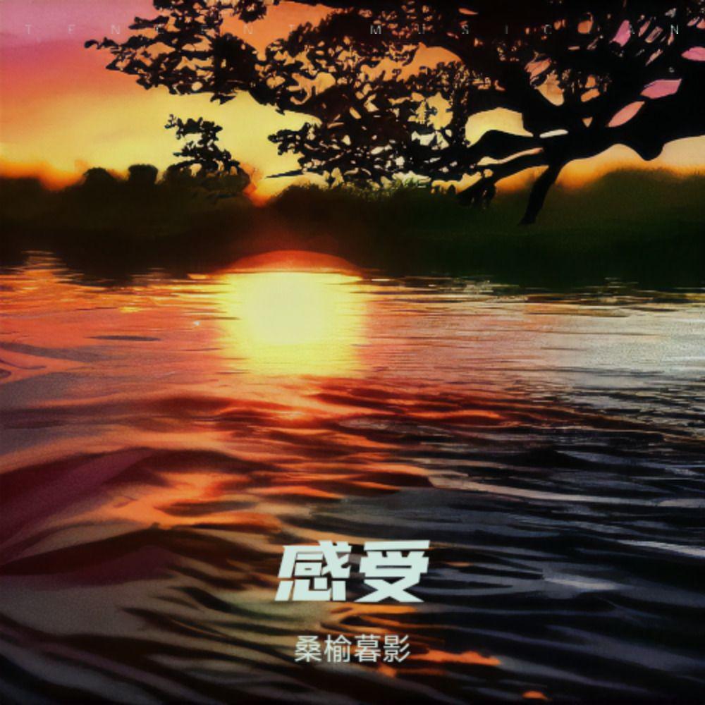 飞燕 伴奏封面