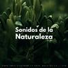 La naturaleza llama - Ballet De Mariposa Calmante