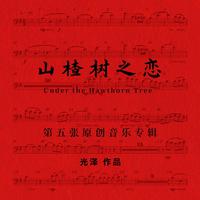 山楂树之恋