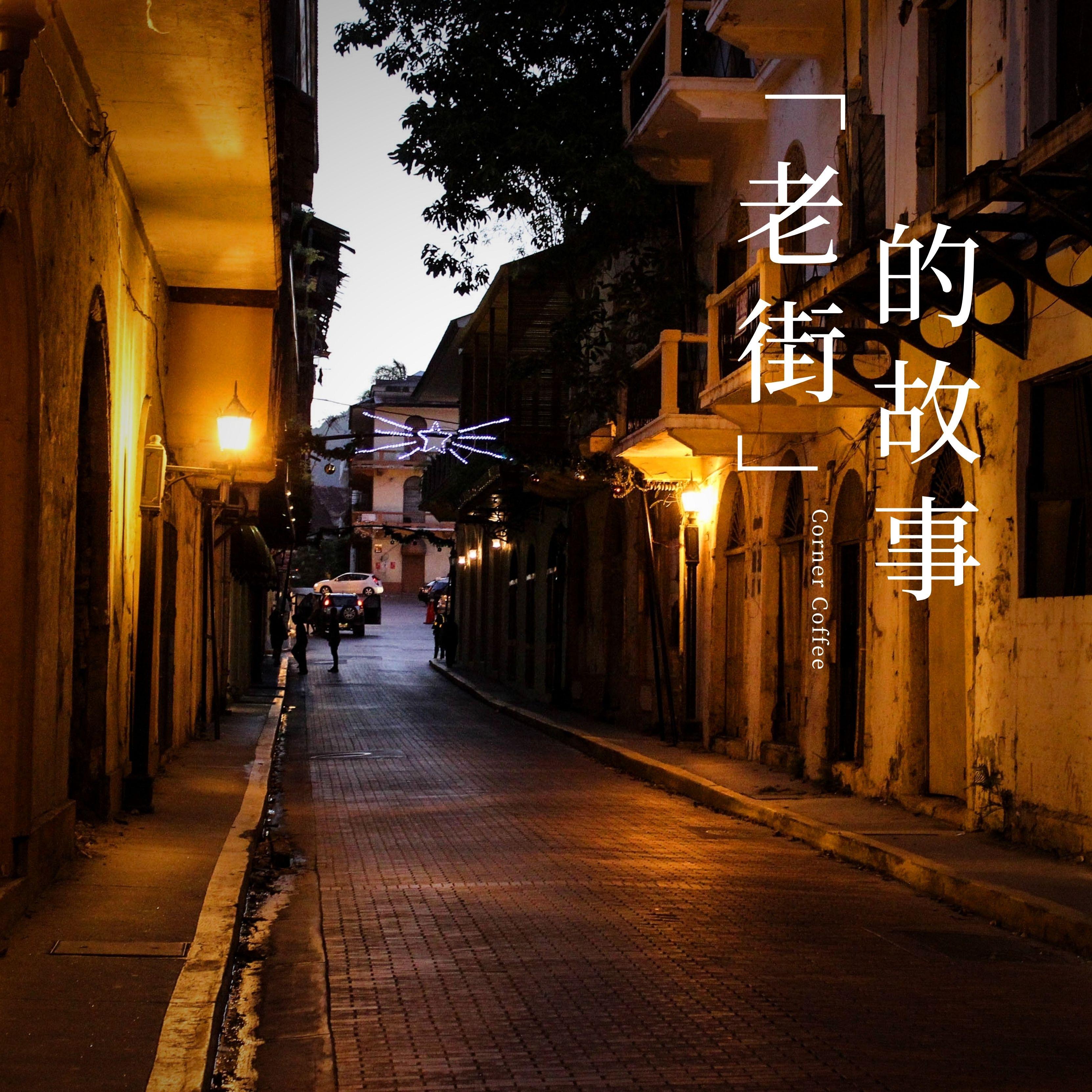 森林的晨曦 (古筝) - 水墨民乐封面