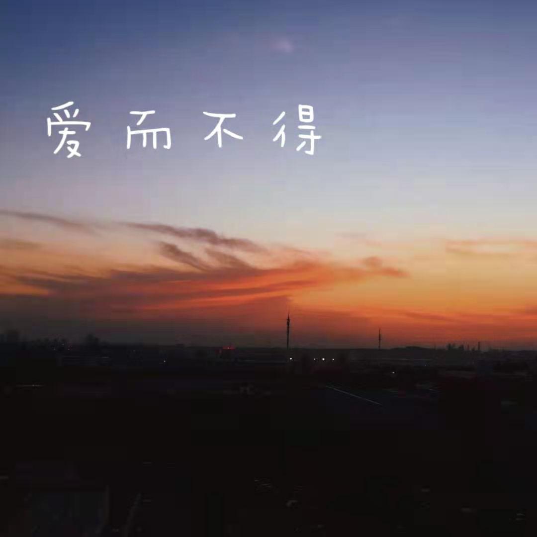 依兰爱情故事封面