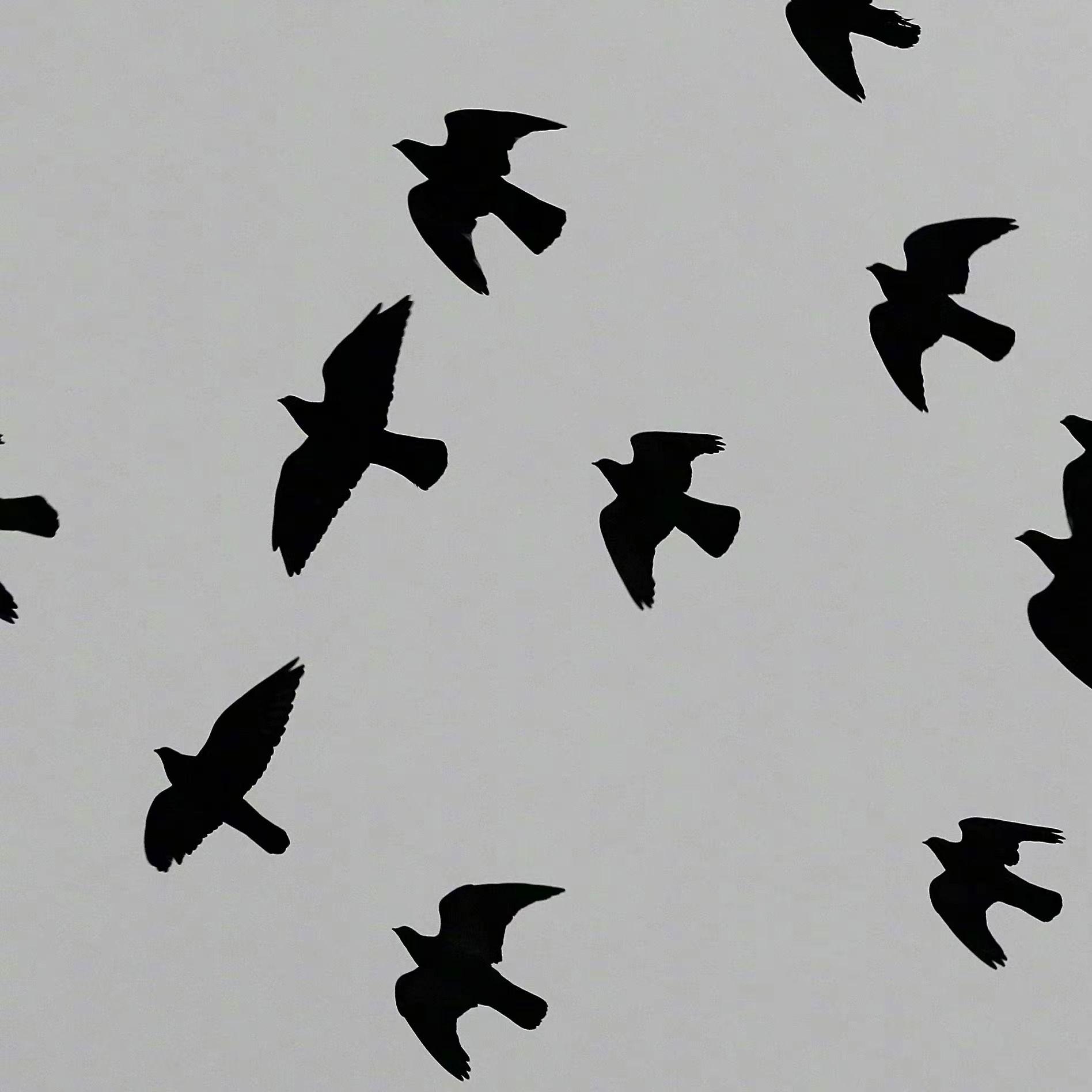 伤心告别日记（Prod by NeonMusic）