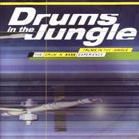 Drums in the Jungle (Essential Drum & Bass - the Dawn of Dubstep)