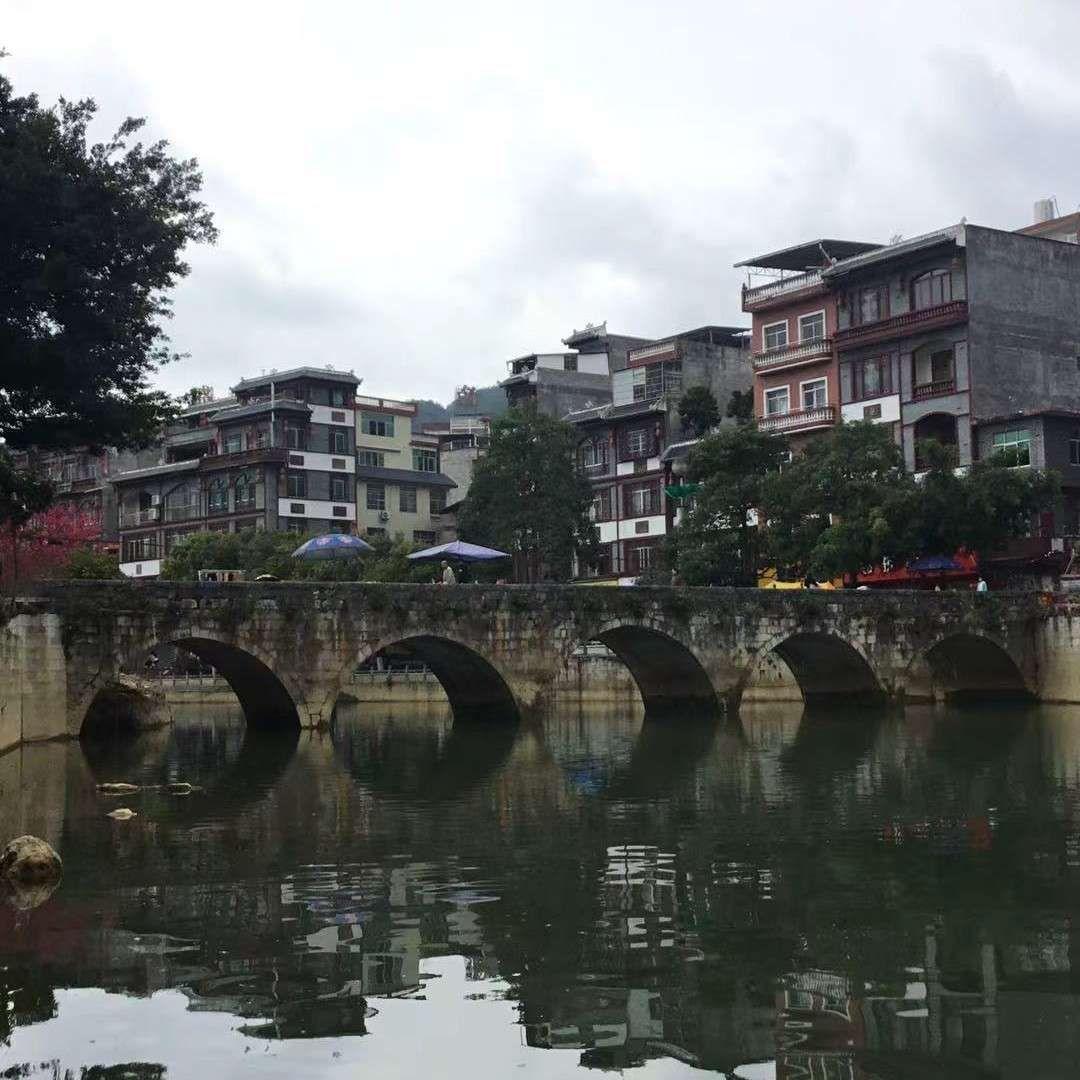 德保，我的骄傲-陆映文封面