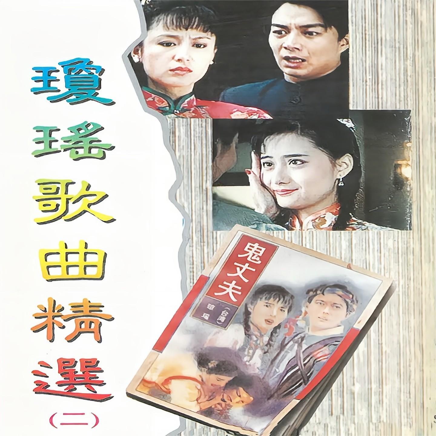 彩云伴海鸥封面