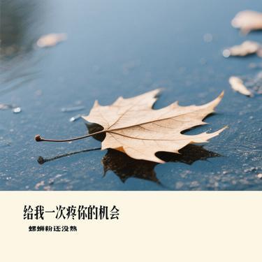 给我一次疼你的机会 (Remix) - 螺蛳粉还没熟封面